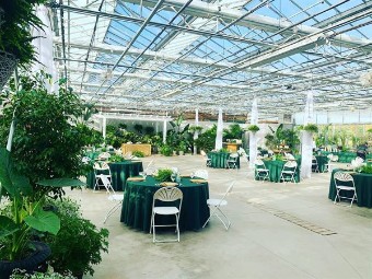 Wayne Style #Buchwalter Greenhouse #1 thumbnail