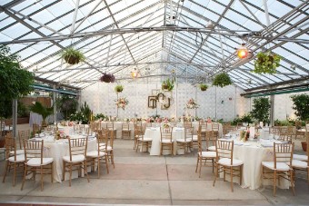 Wayne Style #Buchwalter Greenhouse #3 thumbnail